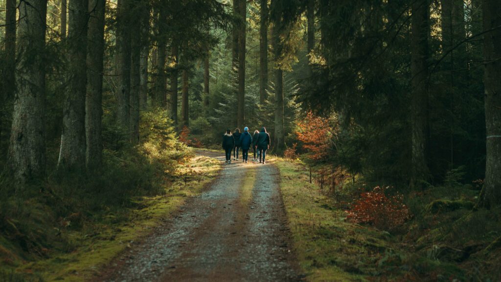 Centres de services en emploi et en formation (CSEF) des Premières Nations, pour vous accompagner dans votre recherche d’emploi.