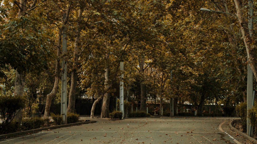 Les services urbains du marché du travail pour les Premières Nations, en vertu du Programme de formation destiné aux Autochtones (FCEA)